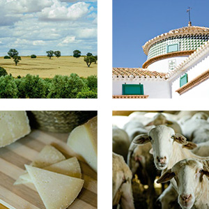 De visita por la Mancha