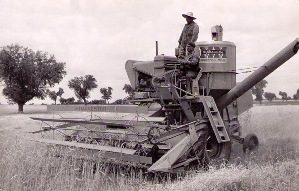 Agricultura que nos proporciona el cereal para nuestro ganado