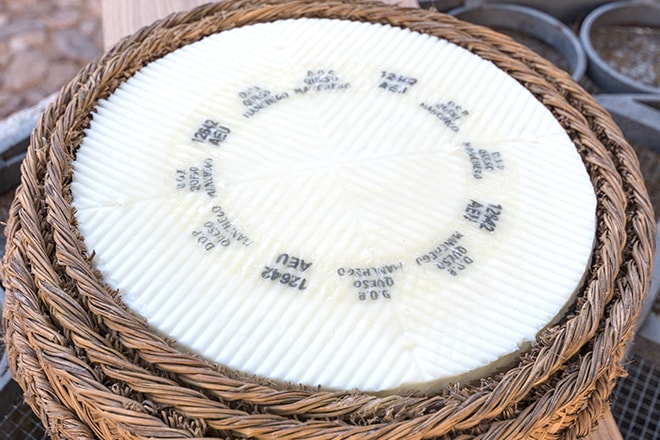 Culture du fromage Manchego AOP