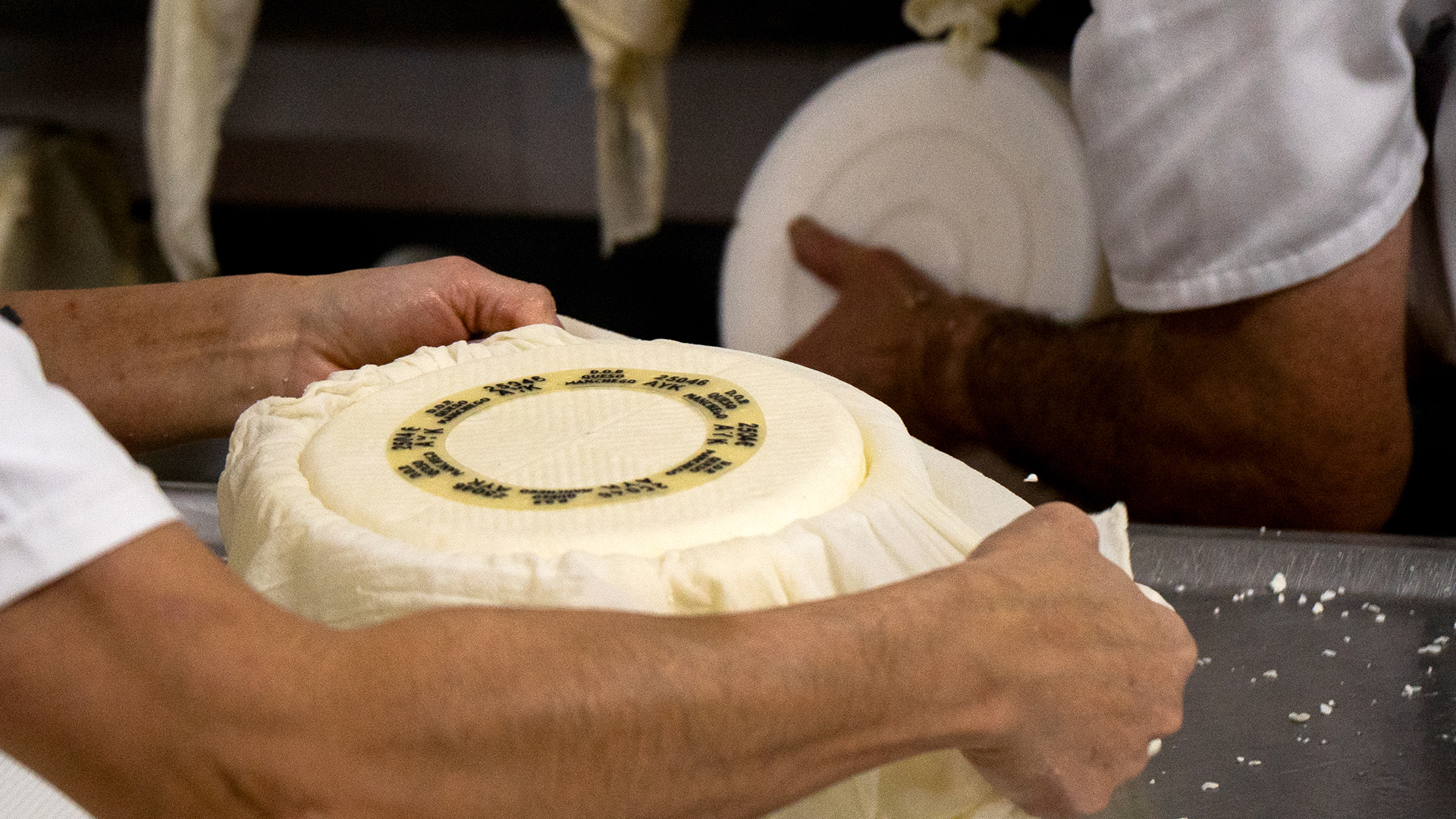 Culture du fromage Manchego AOP