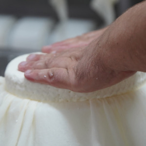 Elaboración del queso manchego