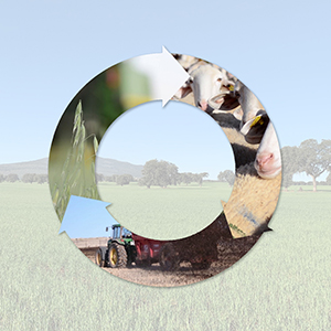 Aprovechamiento de los recursos