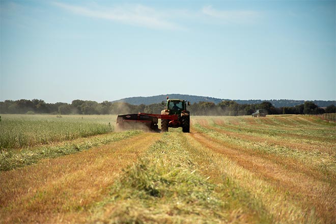 Agriculture 5