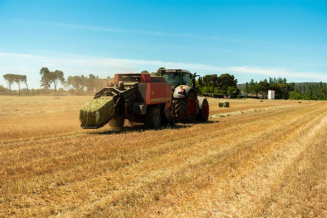 Agriculture 6