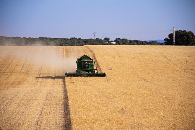 Agriculture 7