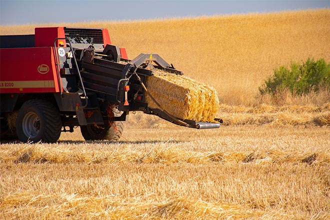 Agriculture 8