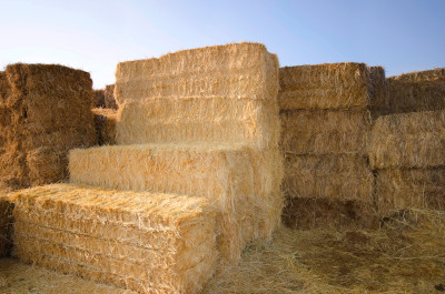 Preparando la tierra para la siembra en Las Terceras