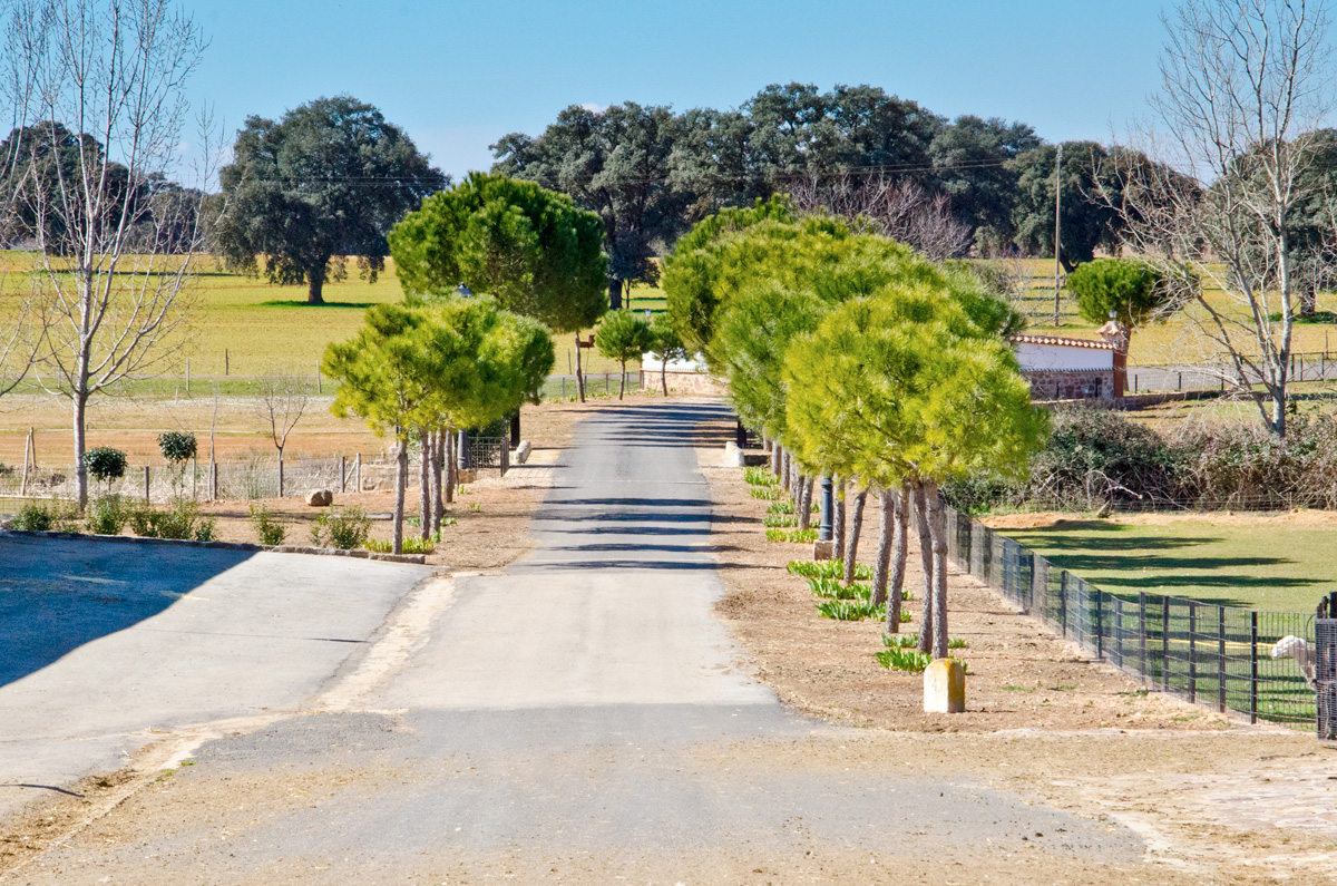 ganadería quesería finca la prunal