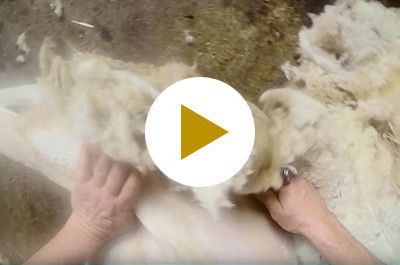 El mejor queso manchego semicurado D.O.P. de la mejor leche