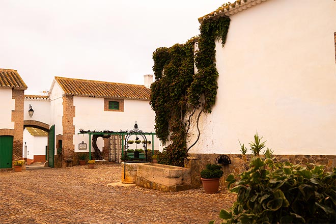 Notre domaine 6