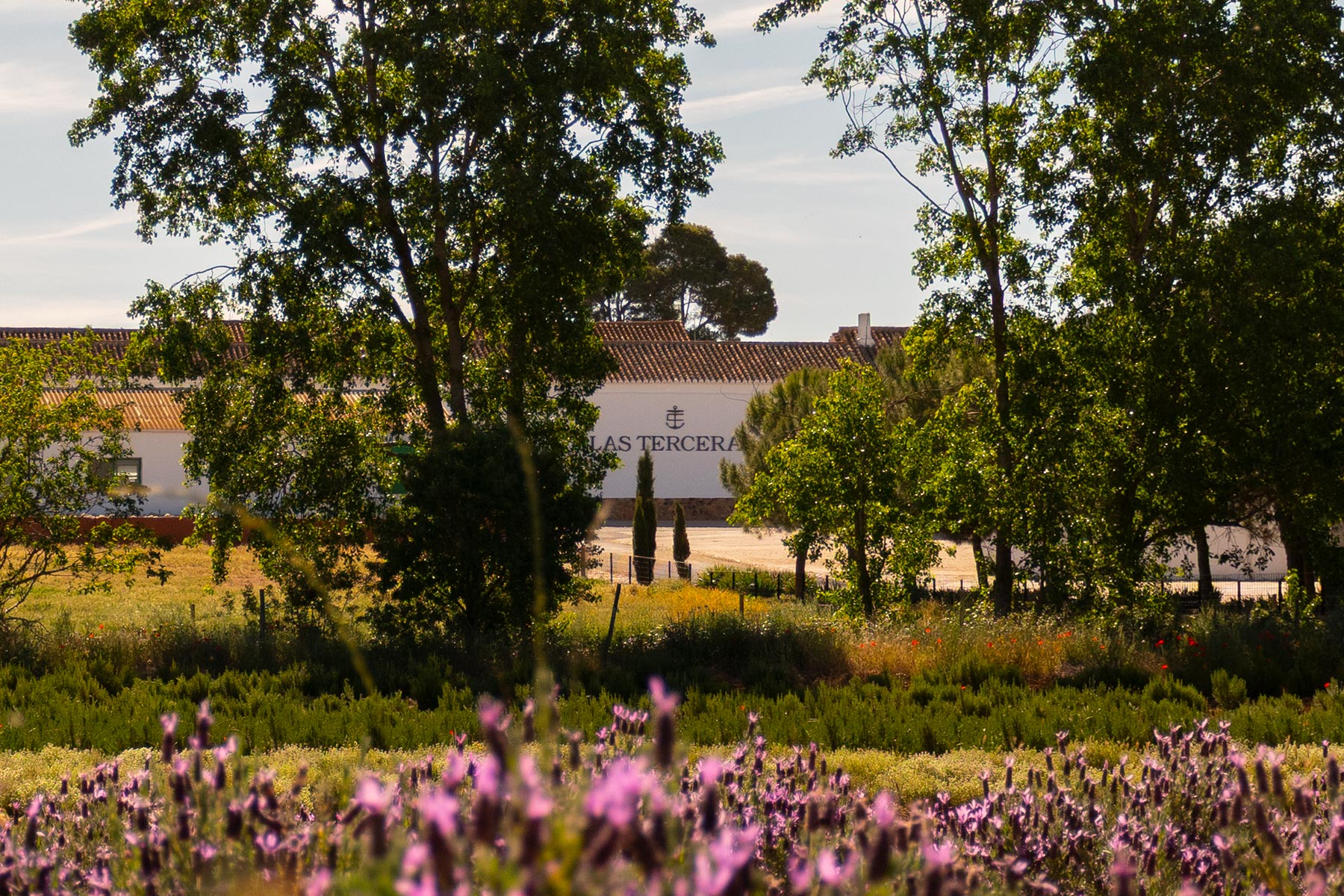 Nuestra finca 1