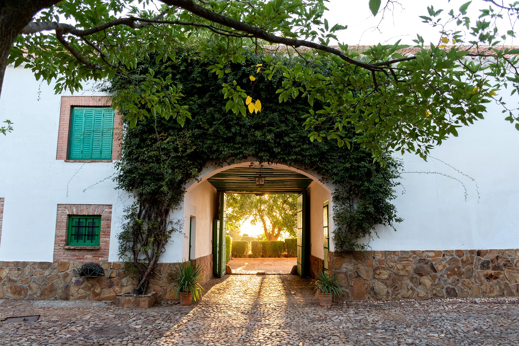 Nuestra finca 2