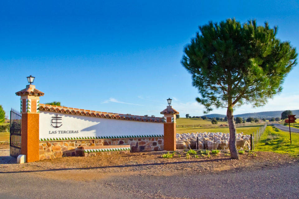 Finca Las Terceras, dedicada a la elaboración de queso manchego
