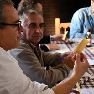 Cata de quesos manchegos