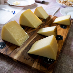 Semi-cured Manchego PDO cheese tasting