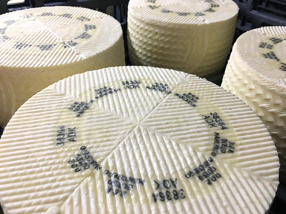 Las Terceras incorporates the new casein to its Manchego cheeses PDO