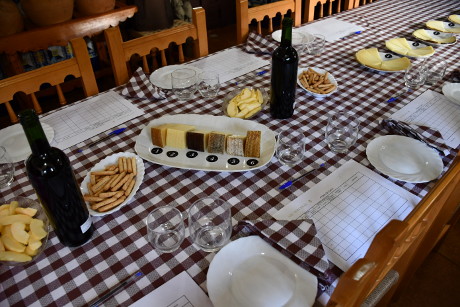 Blind tasting of Manchego cheese