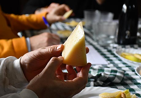 Catering and tasting cheese