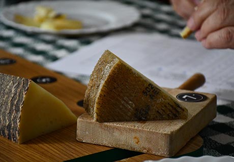 Maridaje con vino tinto de queso manchego