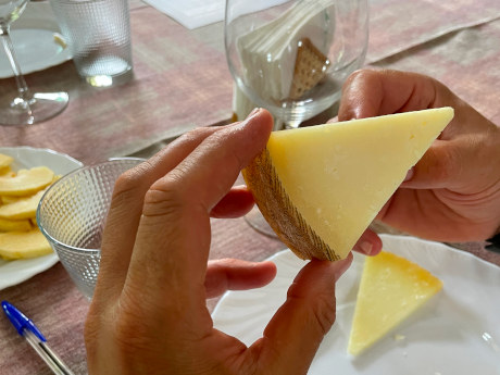 Degustación y maridaje con expertos queseros
