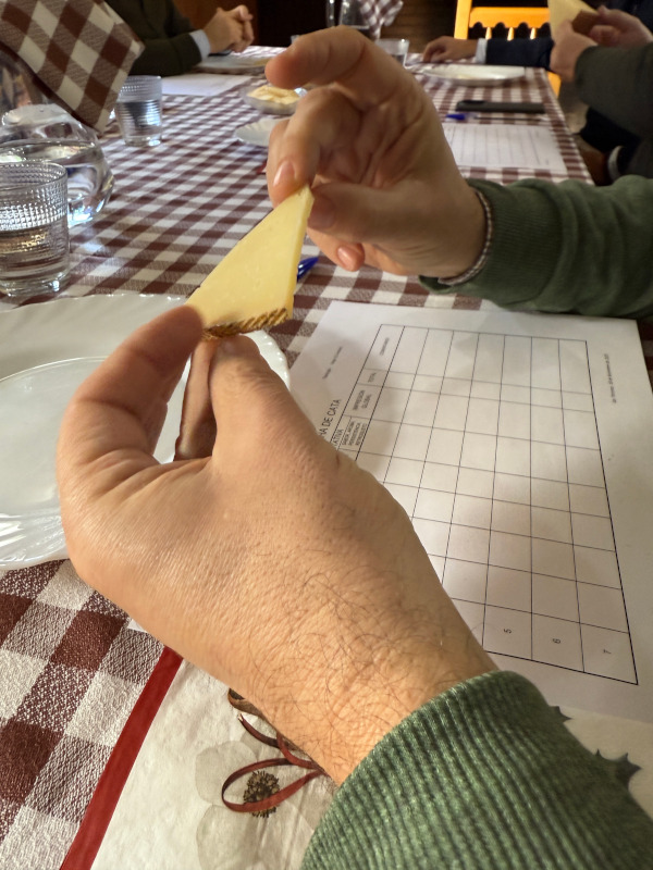 Cata dentro de la DOP Queso Manchego
