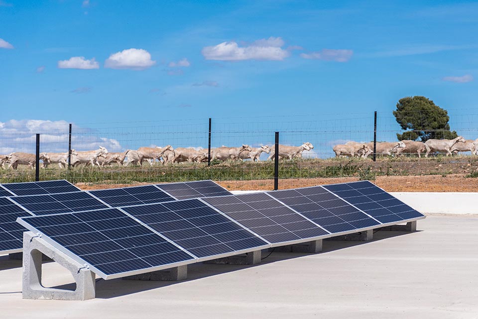 Las Terceras recibe gran cantidad de luz solar durante todo el año