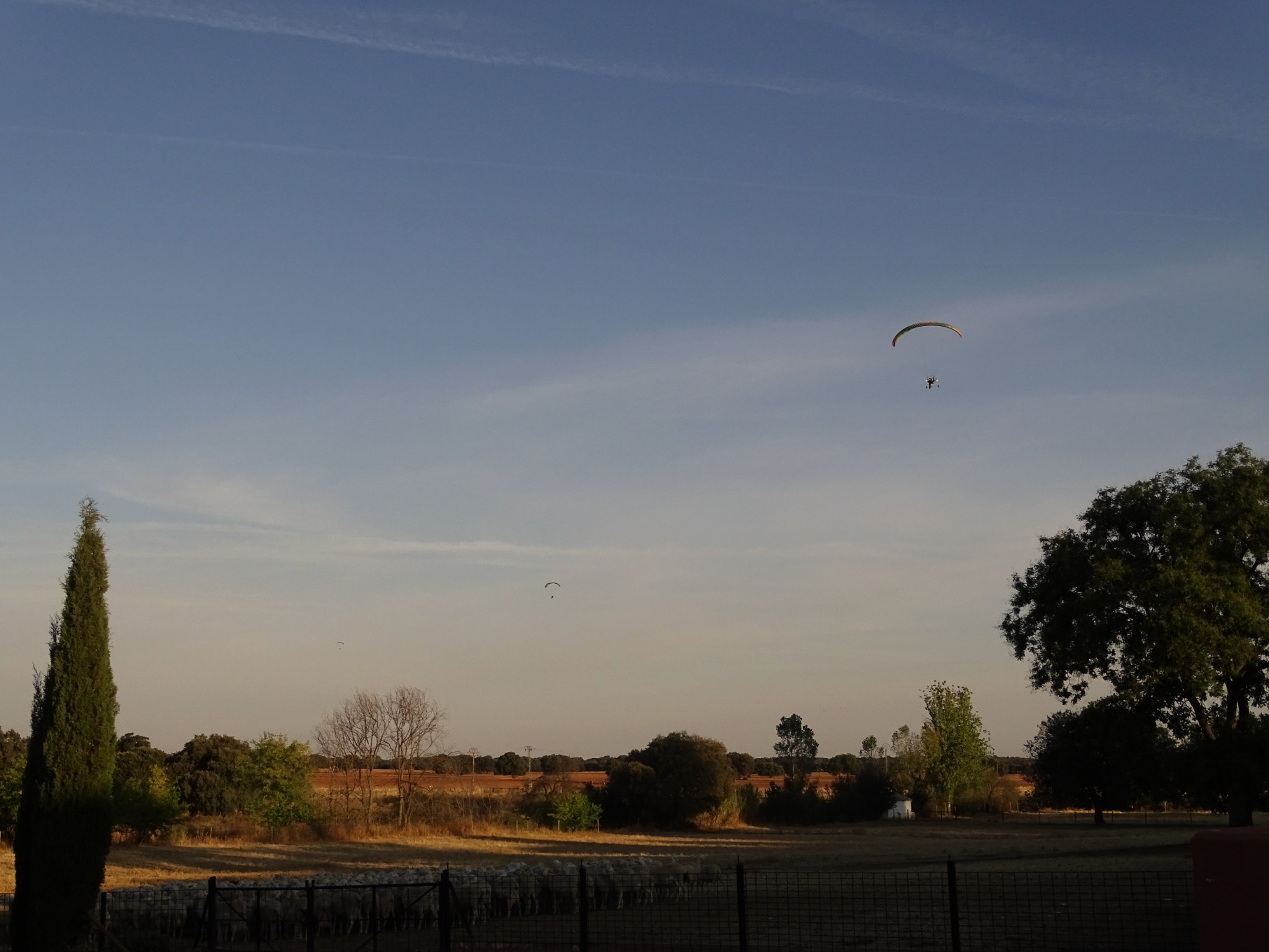 A paramotor flies over the fields and sheep at Finca Las Terceras