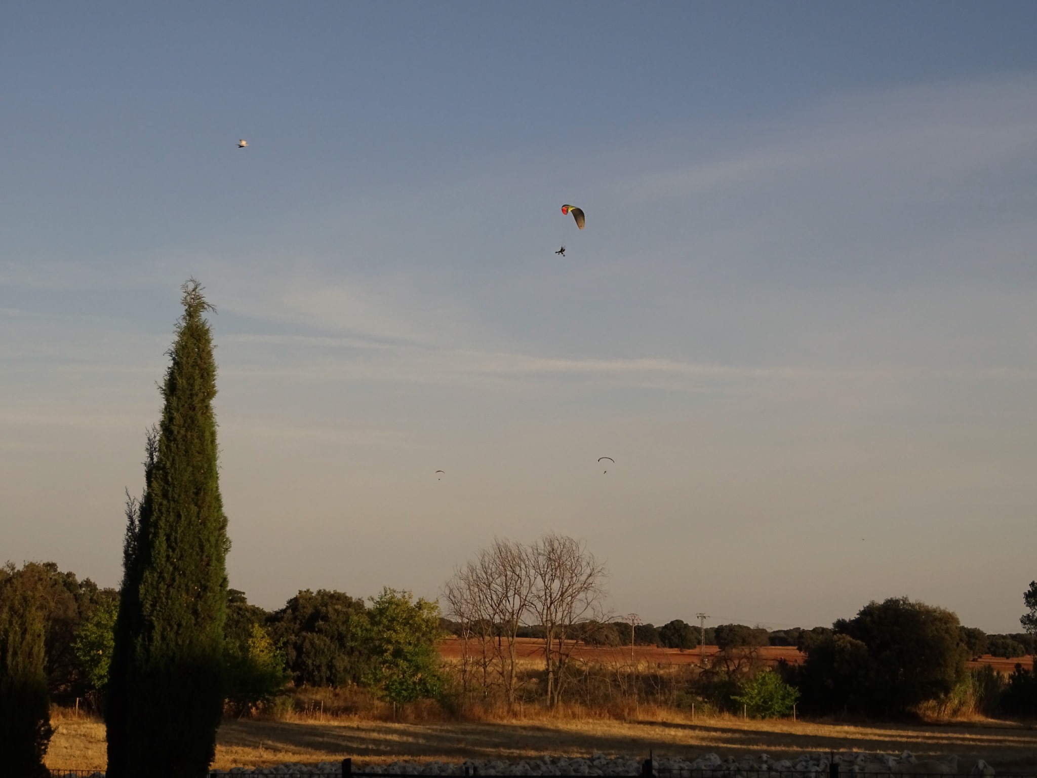 Several paramotors fly over the landscape of La Mancha near the farm
