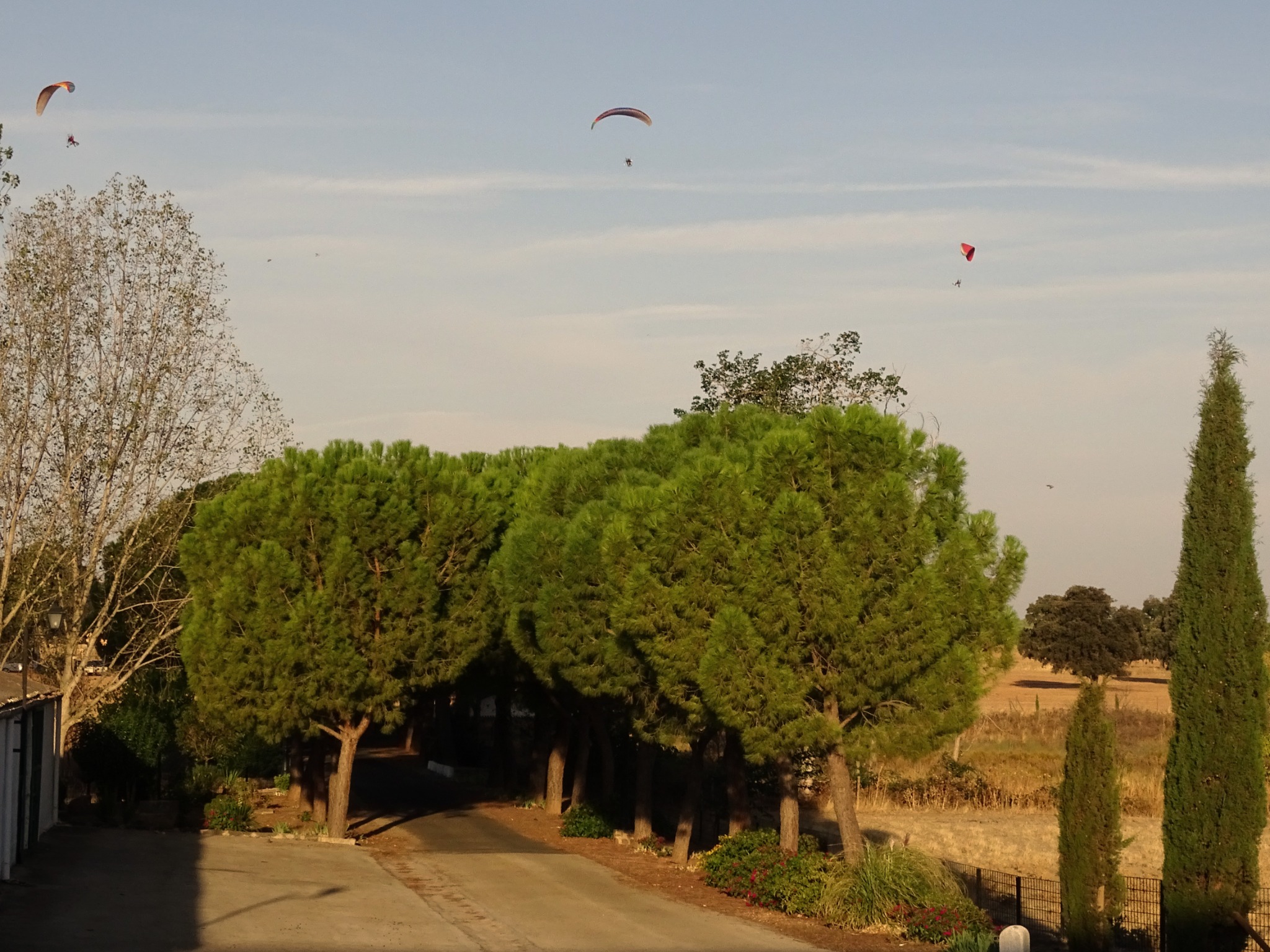 Three paramotors fly above the entrance road to Finca Las Terceras