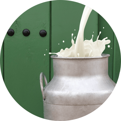 Premios a nuestra leche de oveja