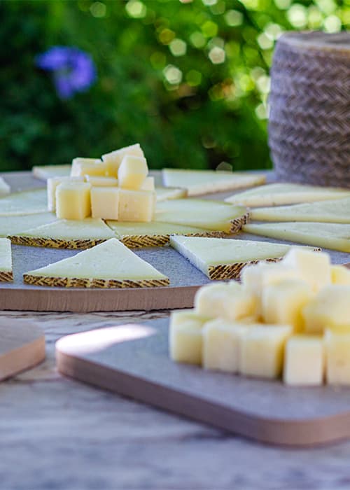 Degustación de queso manchego al aire libre
