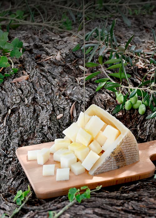 Queso manchego en dados entre olivos
