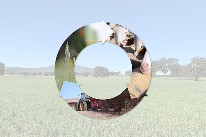 Développement durable et environnement