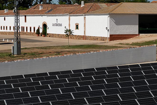 Développement durable et environnement