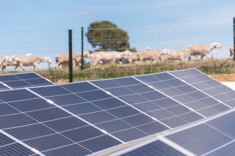 Placas solares en Las Terceras