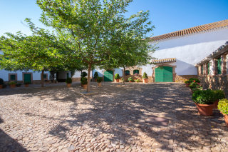 Preparando la tierra para la siembra en Las Terceras