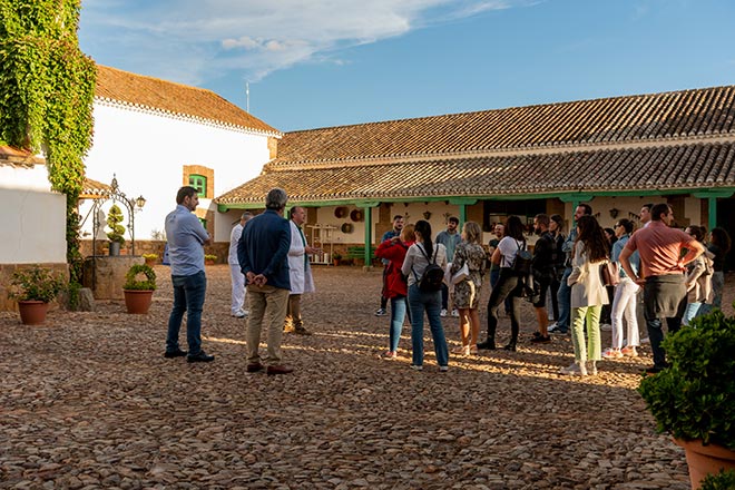 Visita guiada Las Terceras 2
