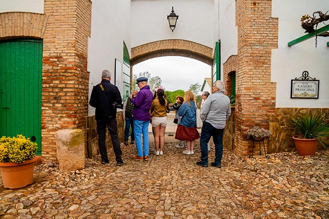Visita guiada Las Terceras 6
